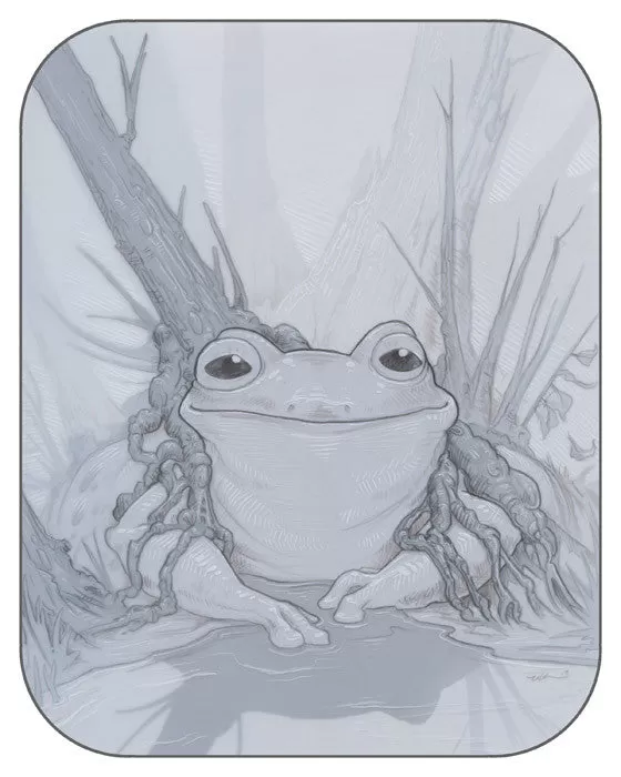 Fabulous Frogs Prints