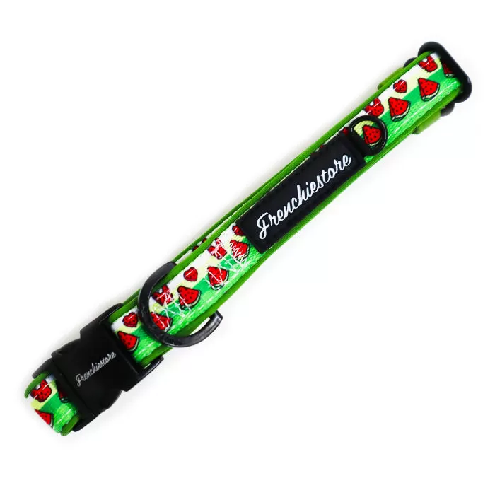 Frenchiestore Breakaway Dog Collar | Watermelon