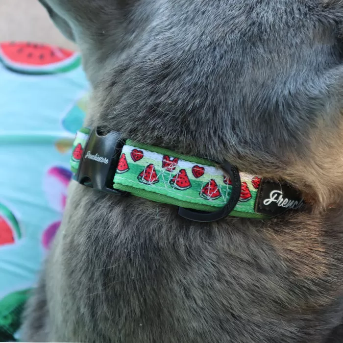 Frenchiestore Breakaway Dog Collar | Watermelon