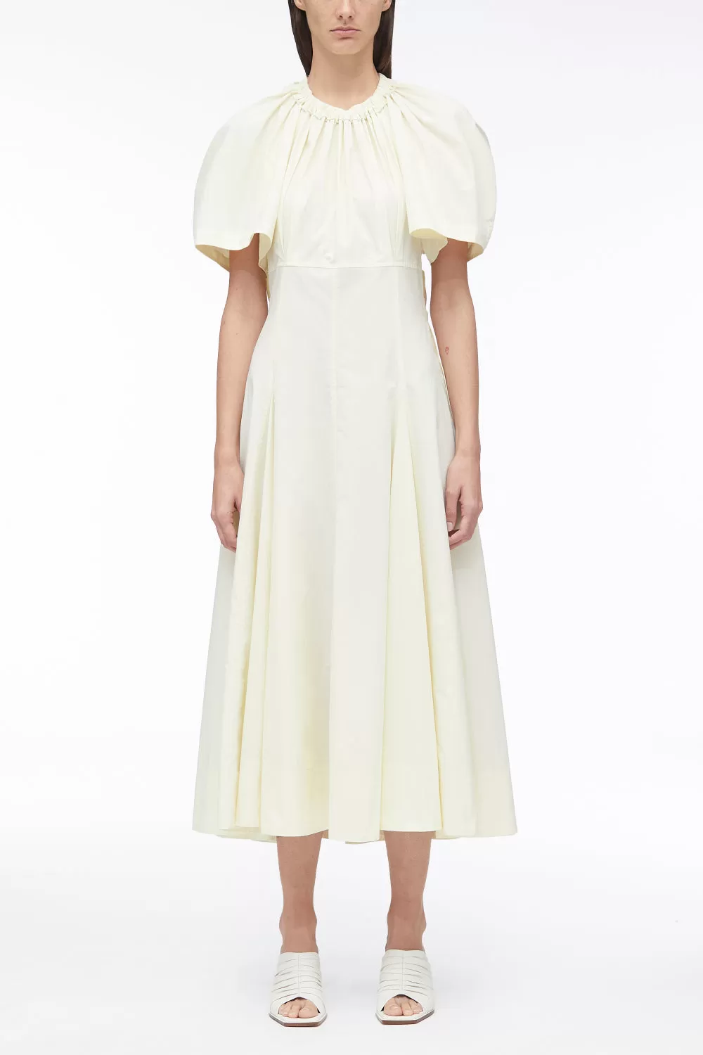 Ladybug Poplin Midi Dress