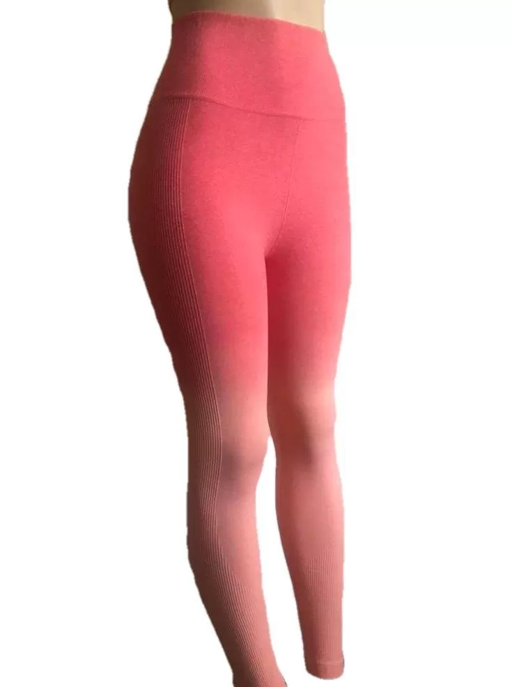 Seamless Ombre Leggings