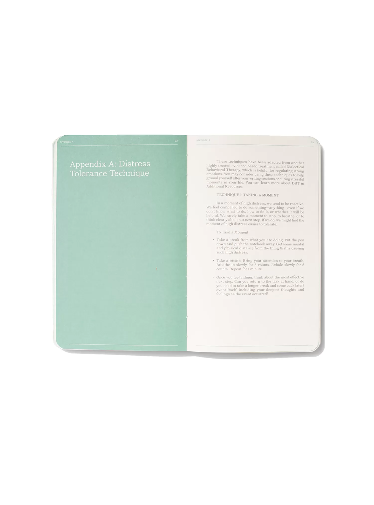 Therapy Notebooks The Trauma & Written (Exposure Workbook)